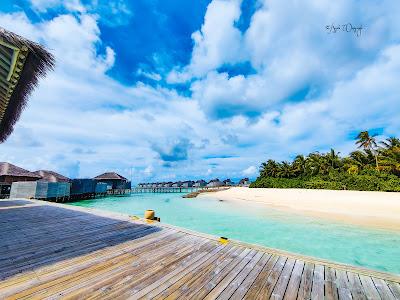 Sandee - Six Senses Laamu