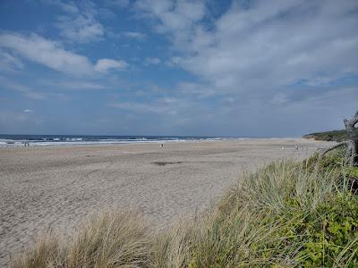 Sandee - Beachside State Recreation Site