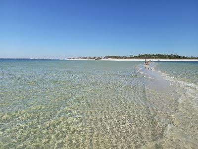 Sandee - Shell Island Beach