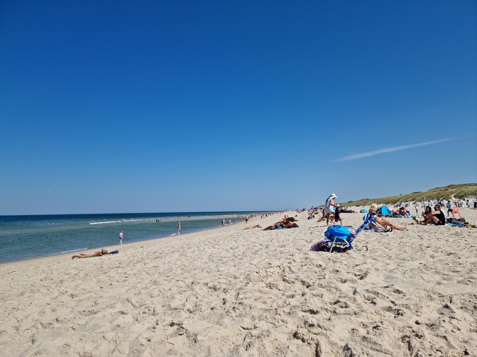 Sandee Hundestrande Auf Sylt Photo