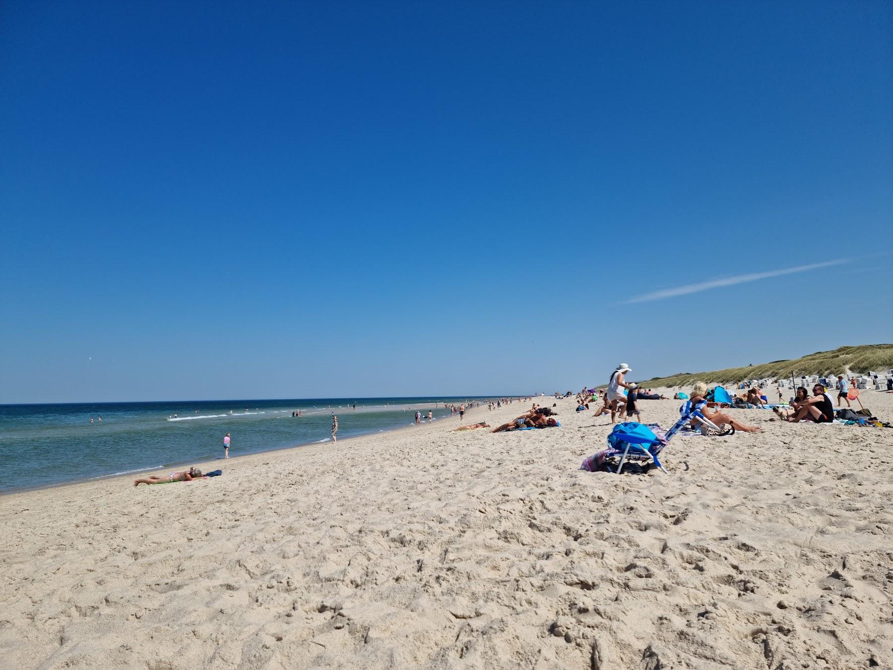 Sandee Hundestrande Auf Sylt