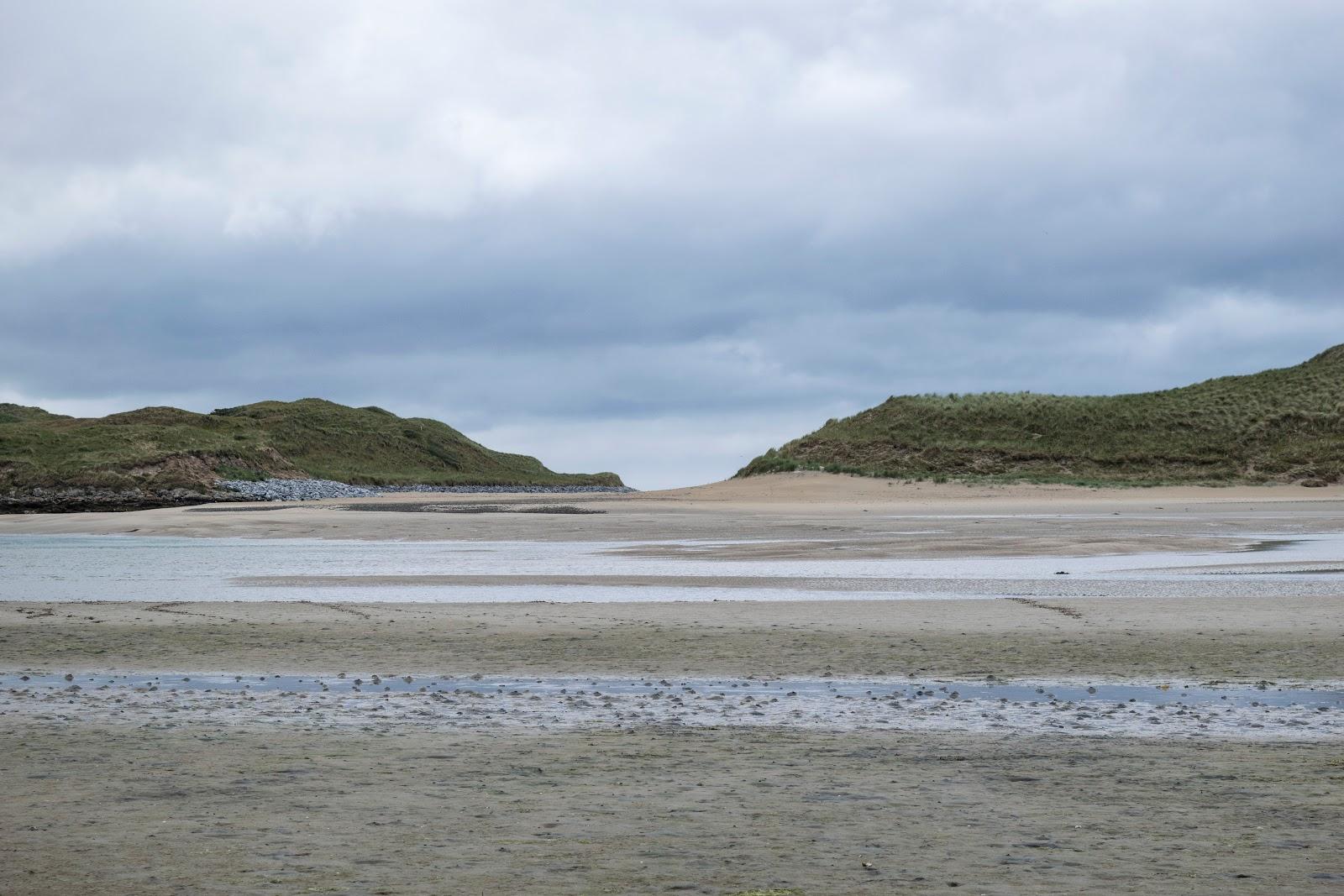 Sandee Carrahane Strand