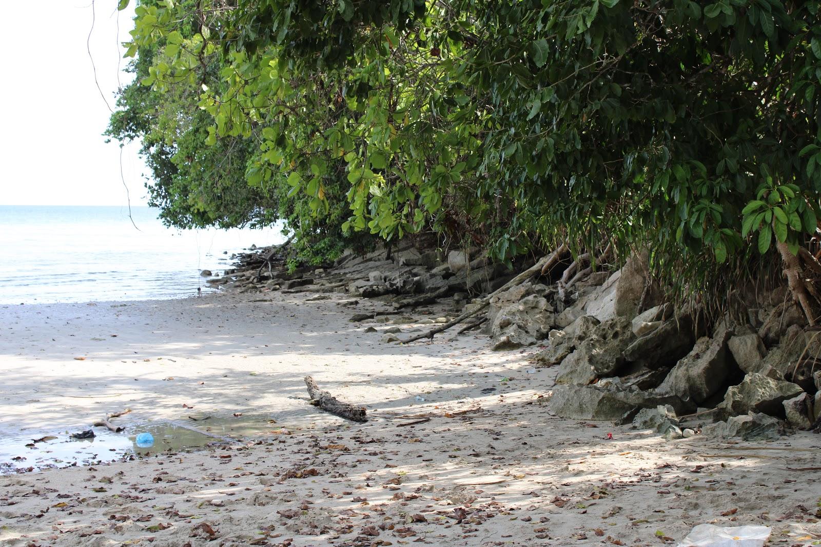 Sandee Wartutin Beach