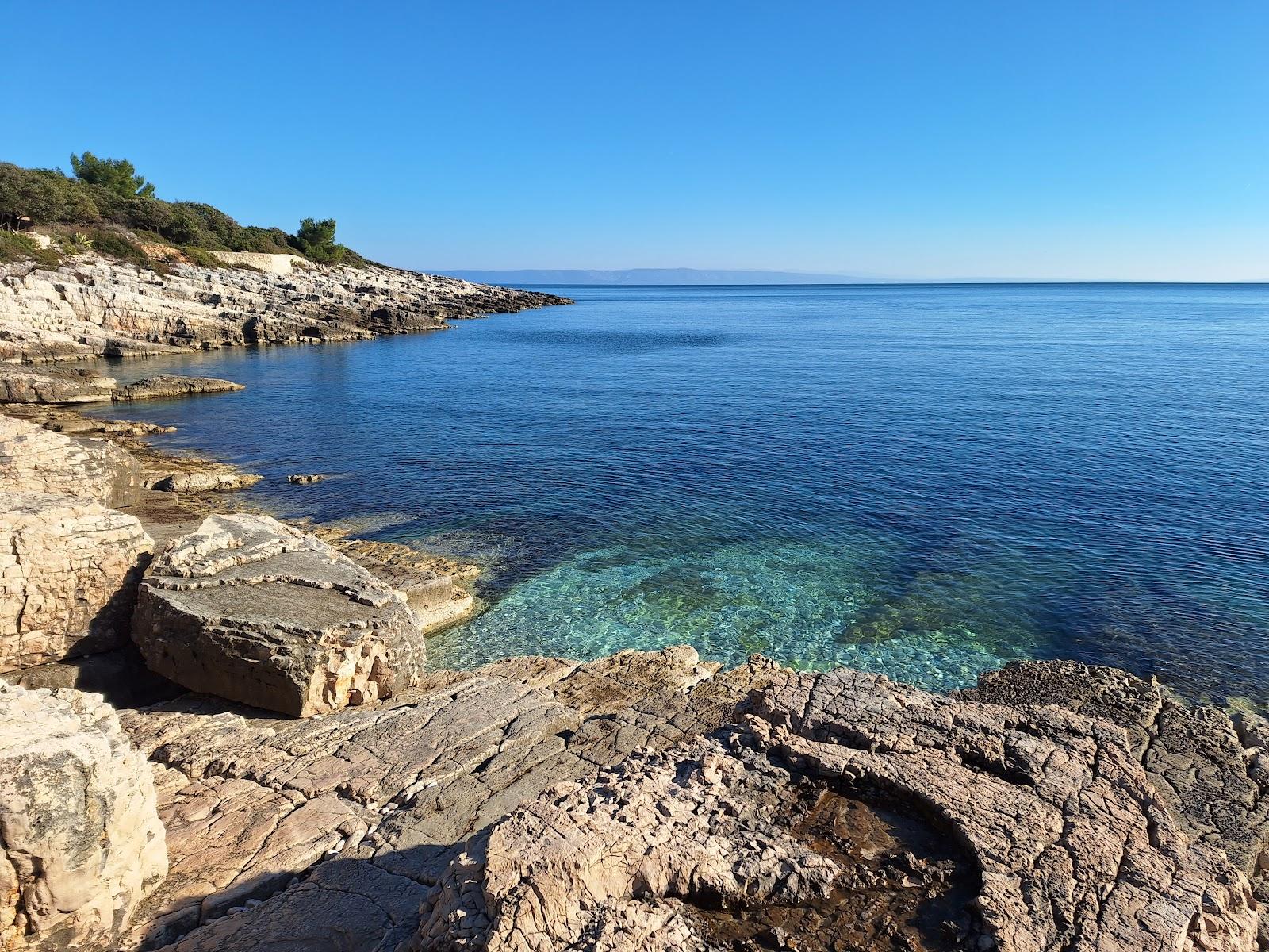 Sandee Beach Školjić Photo