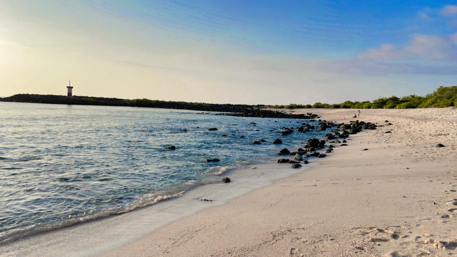 Sandee Punta Carola