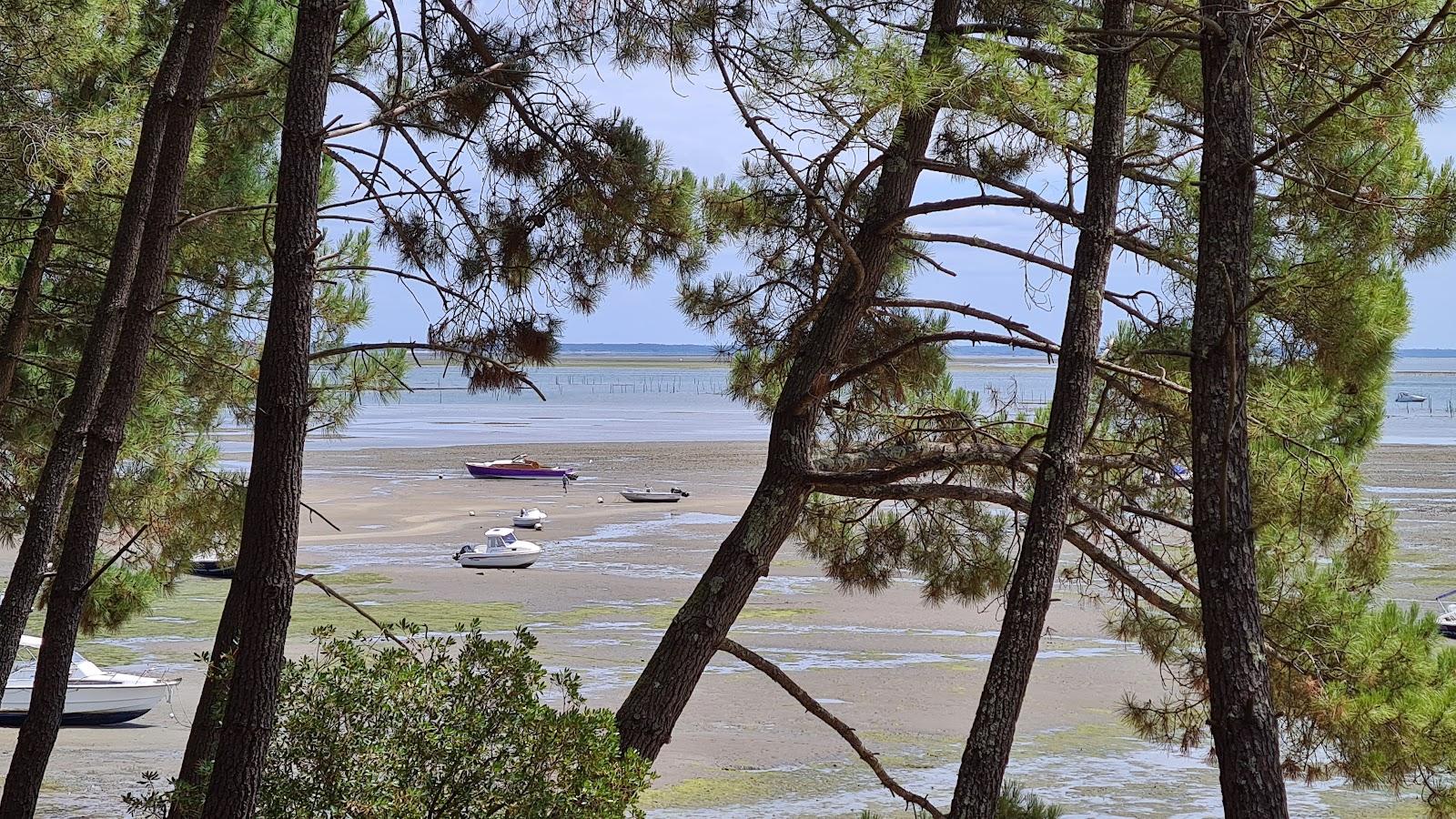 Sandee Beach Of Truquette