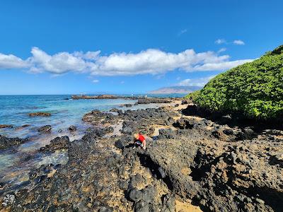 Sandee - Kamaole Beach Park III