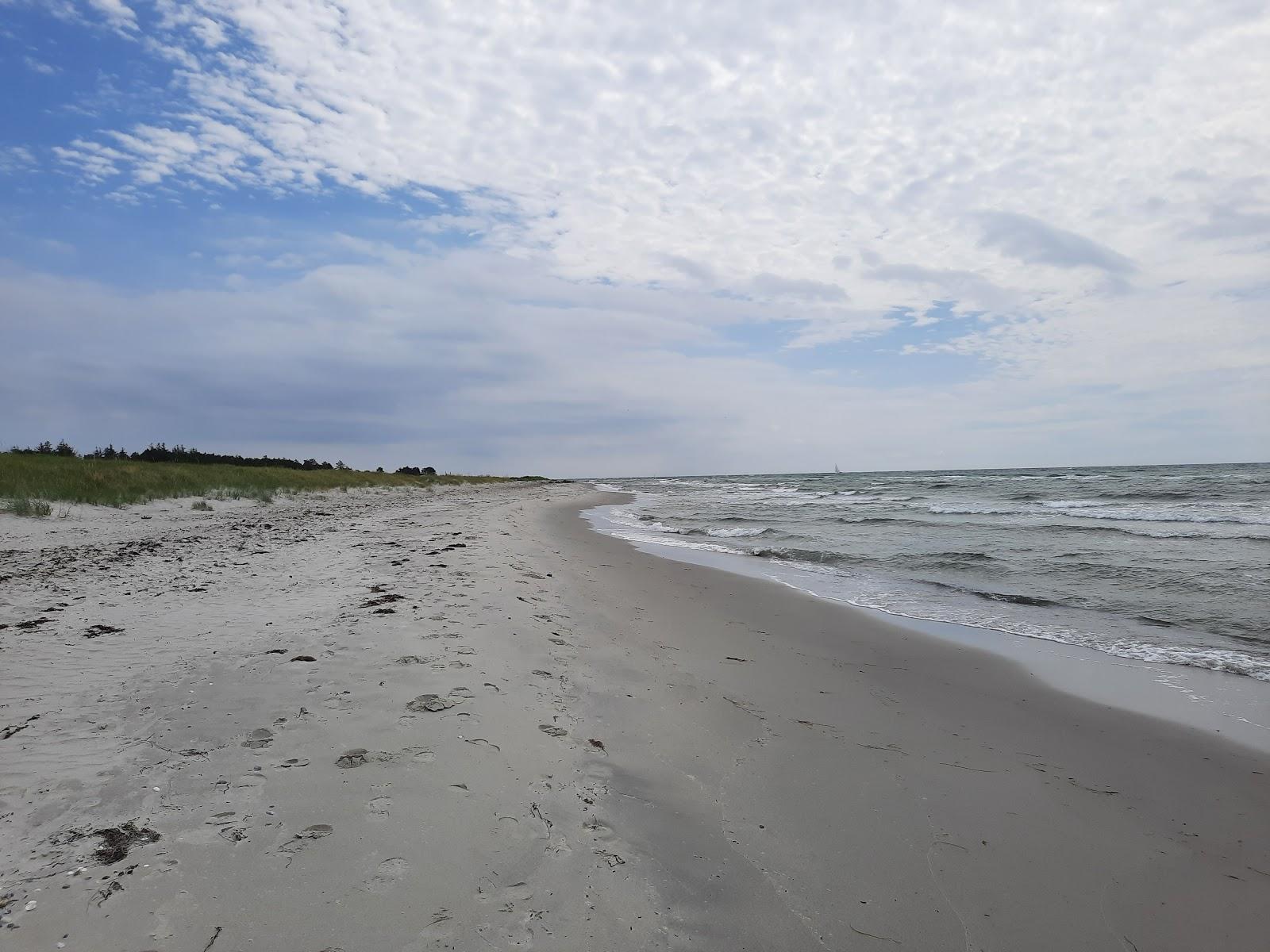 Sandee Øer Strand Photo