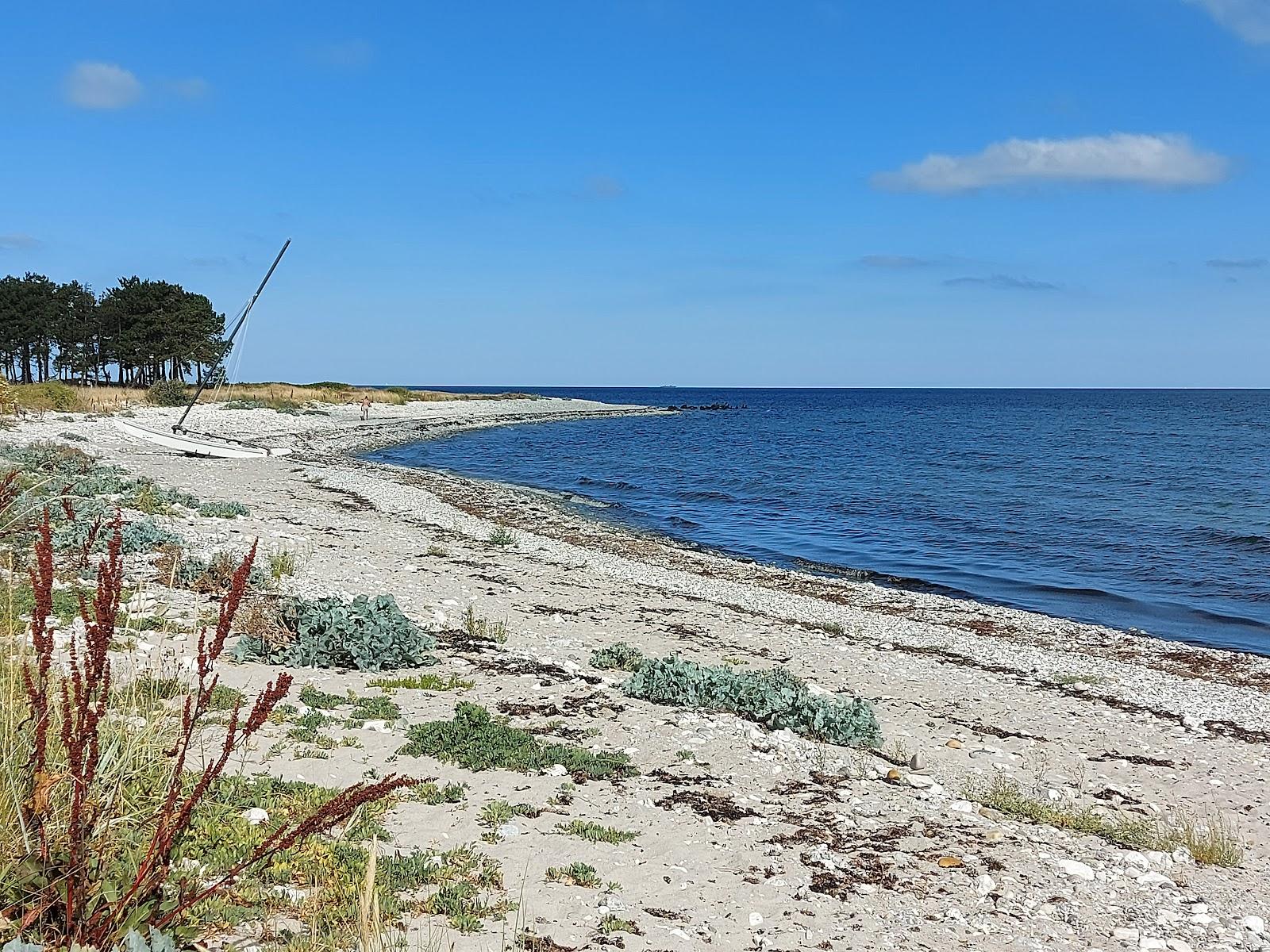 Sandee Nyrup Strand Badebro