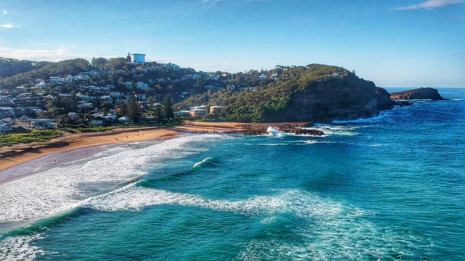 Sandee North Avoca Beach