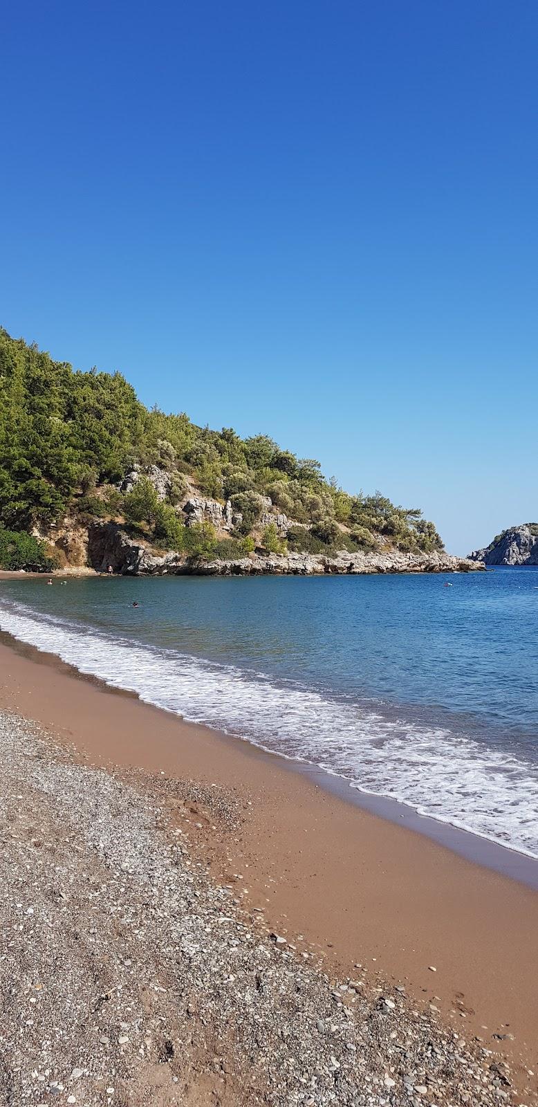 Sandee Flora Beach