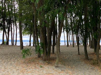 Sandee - The Grove At Golden Gardens