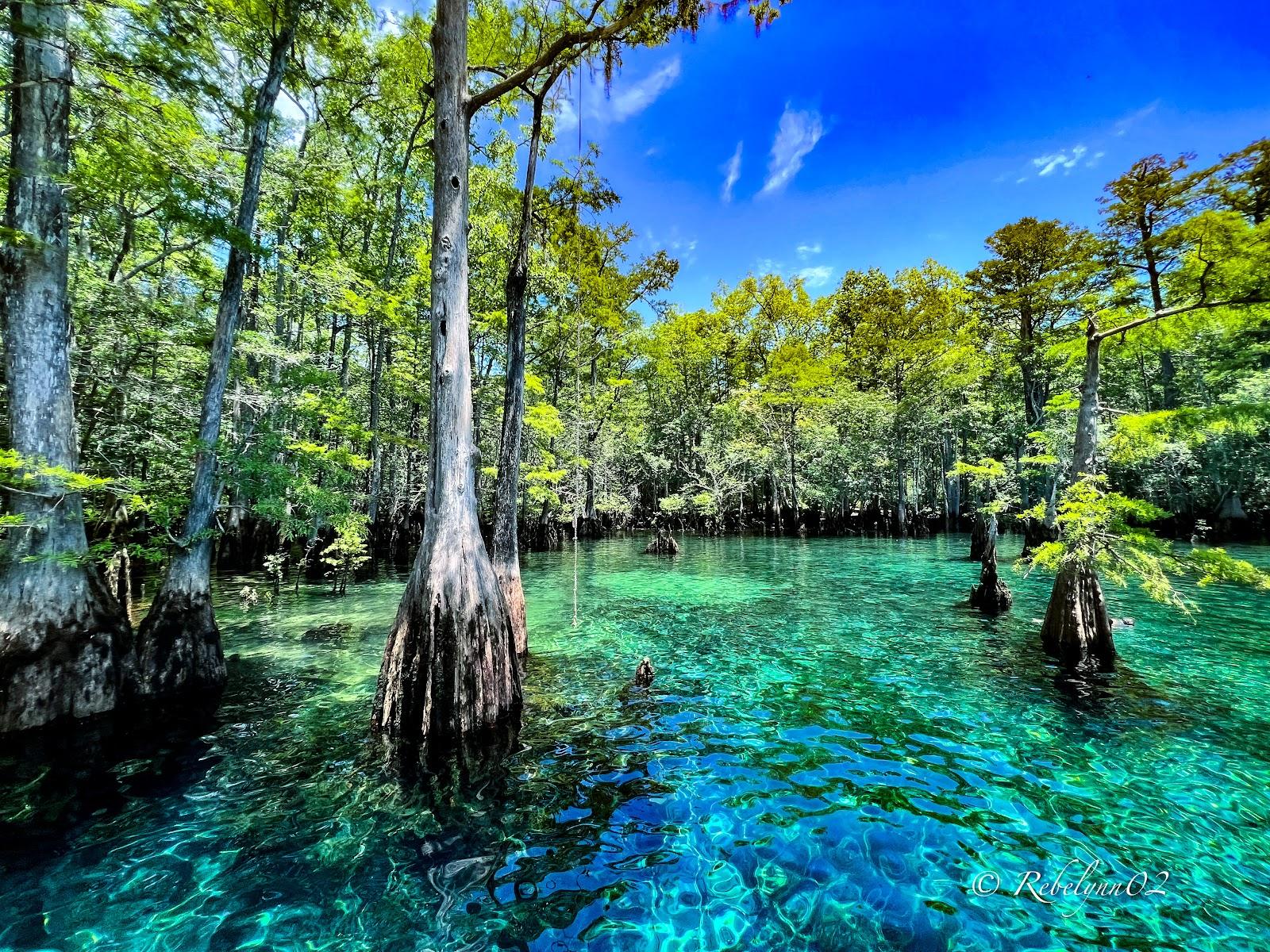 Sandee - Morrison Springs County Park