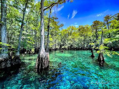 Sandee - Morrison Springs County Park