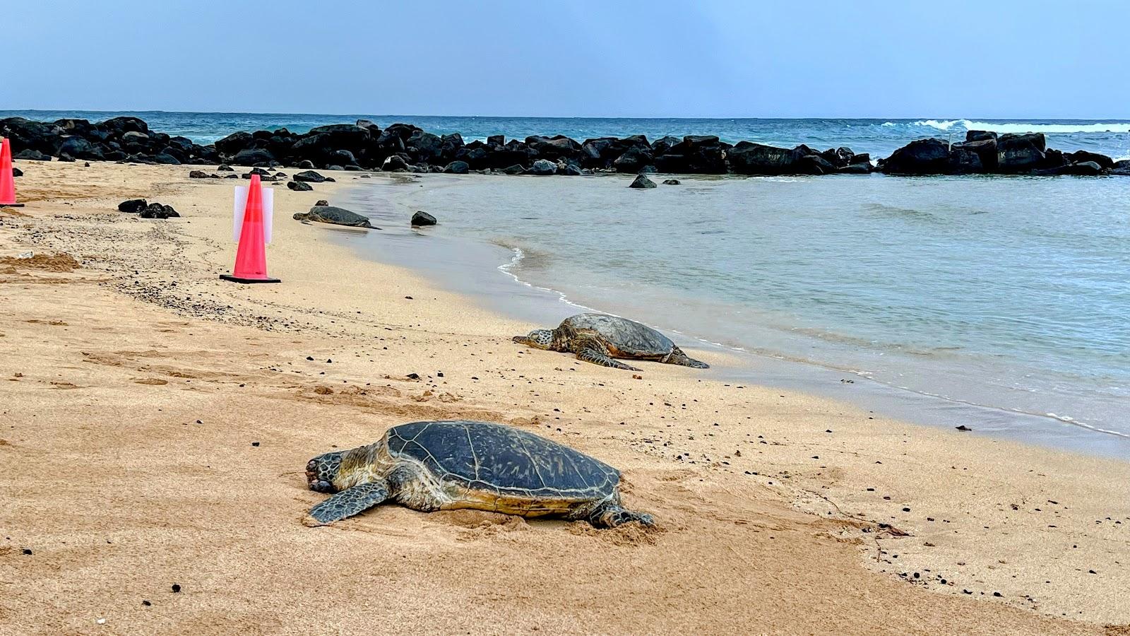 Sandee - Po'Ipu Beach