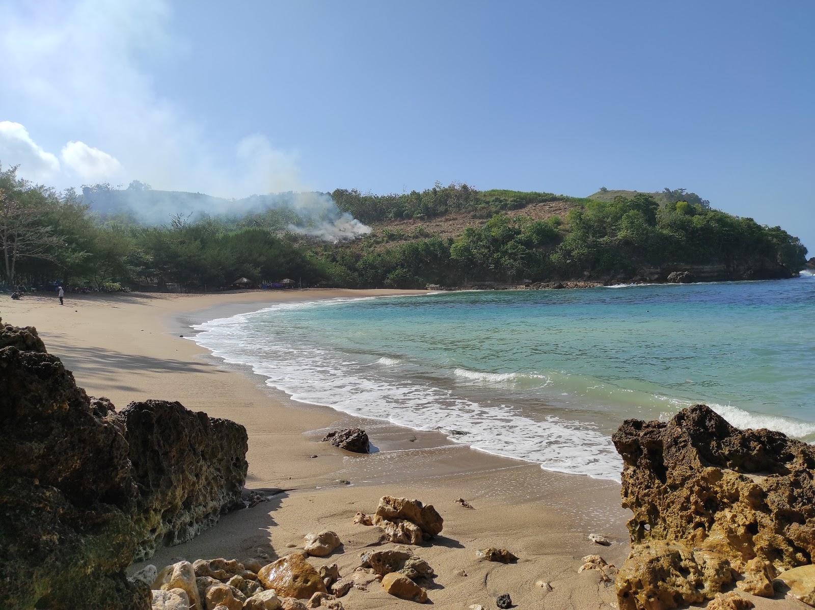 Sandee Pangi Beach
