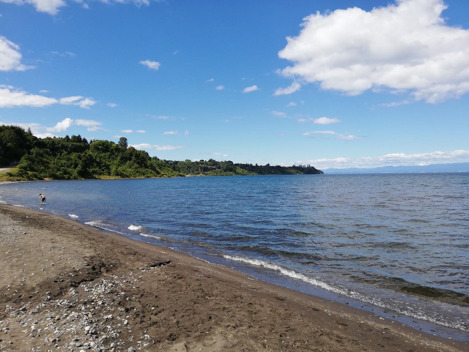 Sandee Frutillar Bajo Beach