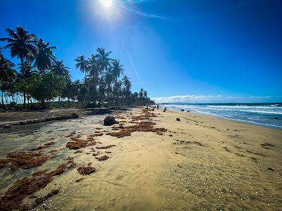 Sandee - Bahia Escocesa.