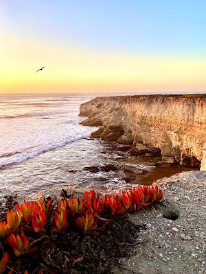 Sandee - Wall Beach