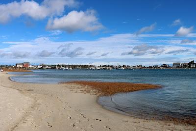 Sandee - Wells Harbor