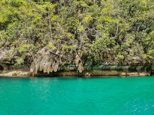 Sandee Sohoton Cove Photo