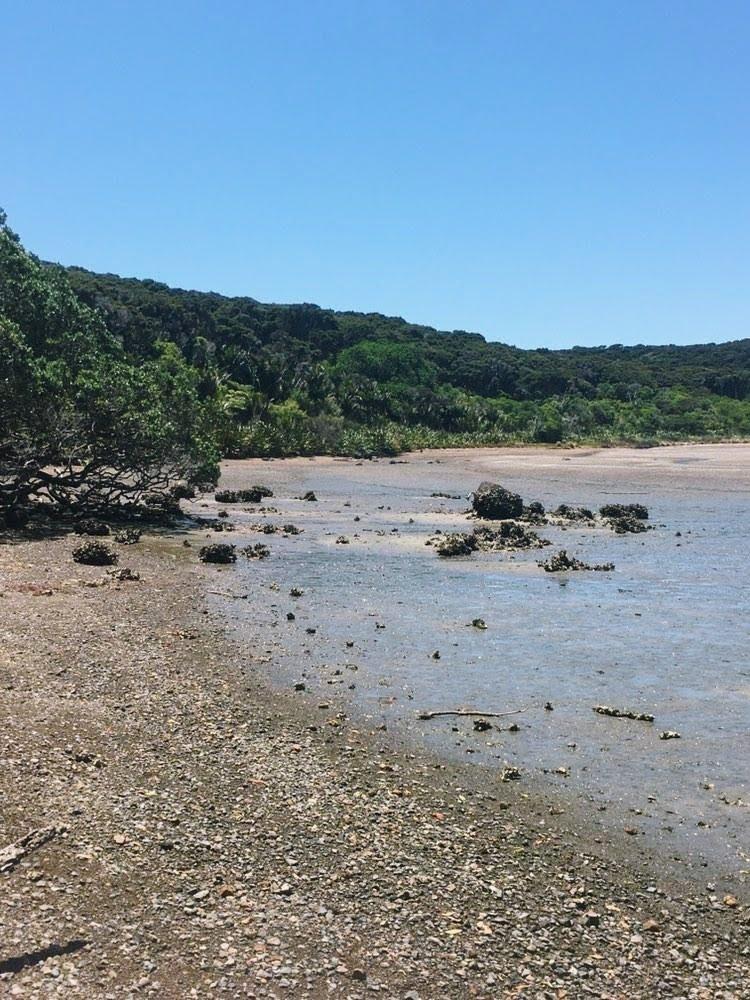 Sandee Rocky Bay Reserve