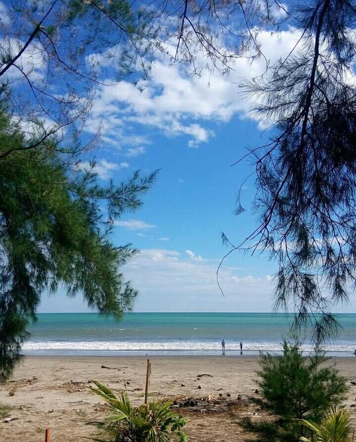 Sandee Arta Sungai Limau Beach