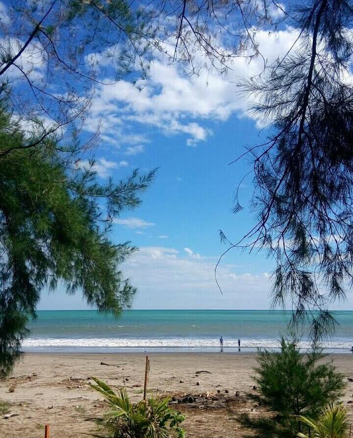 Sandee Arta Sungai Limau Beach Photo