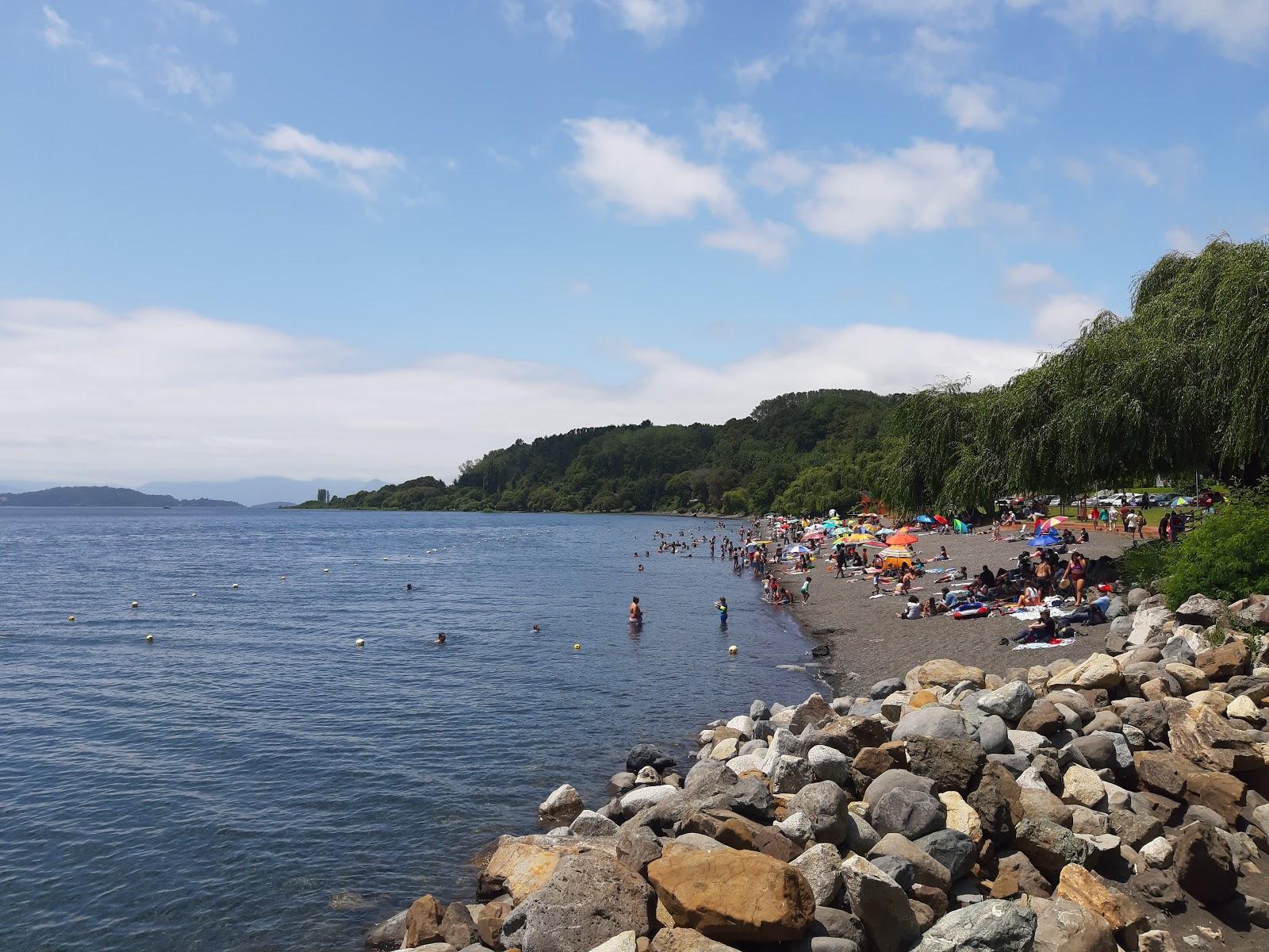 Sandee Playa Lago Ranco
