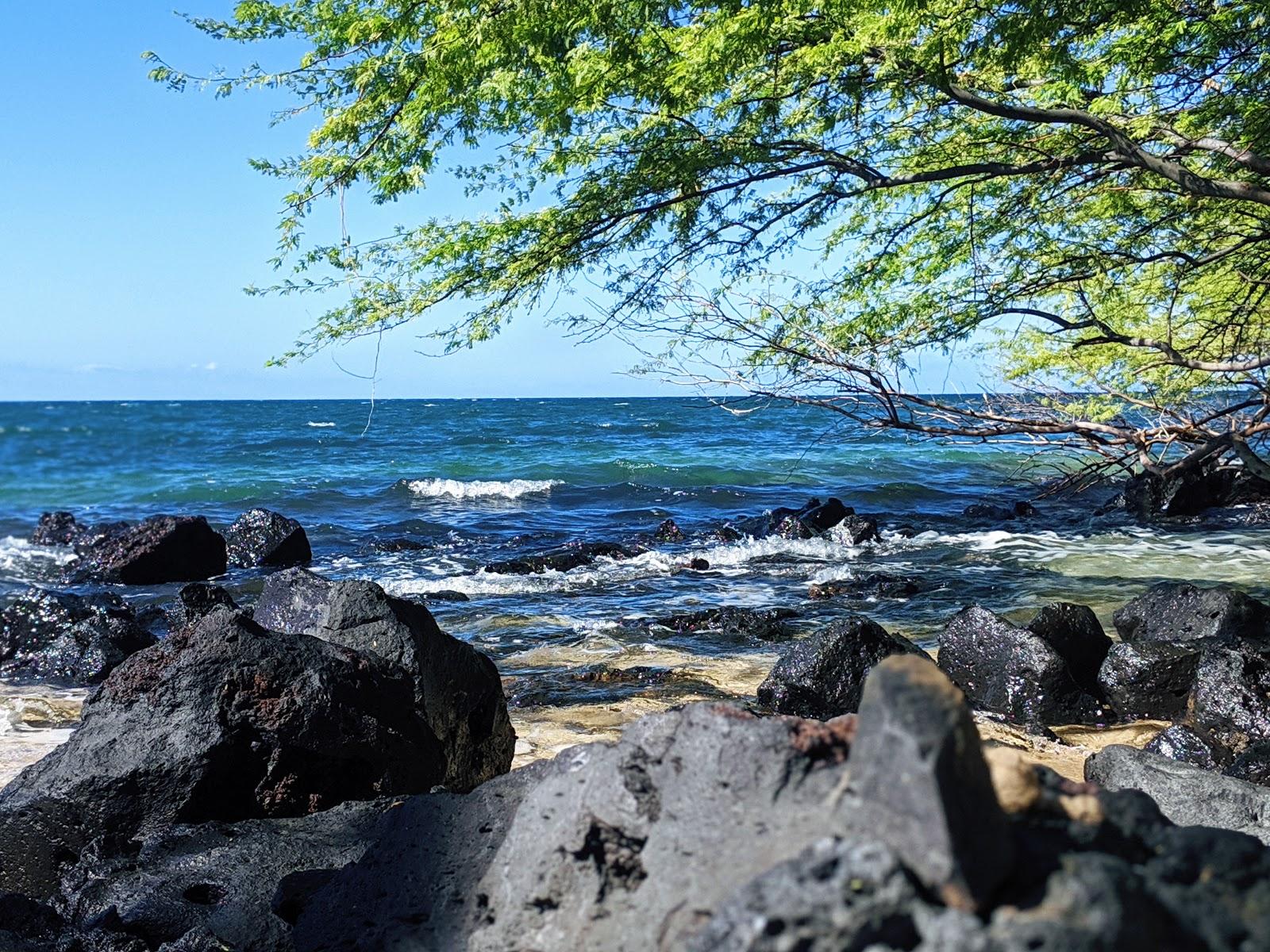 Sandee - Spencer Beach Park