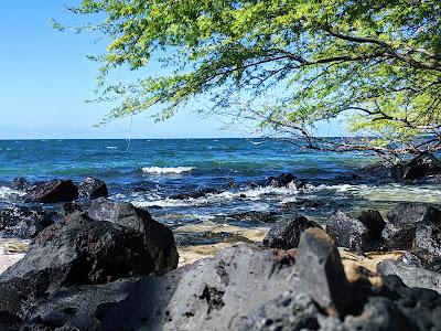 Sandee - Spencer Beach Park