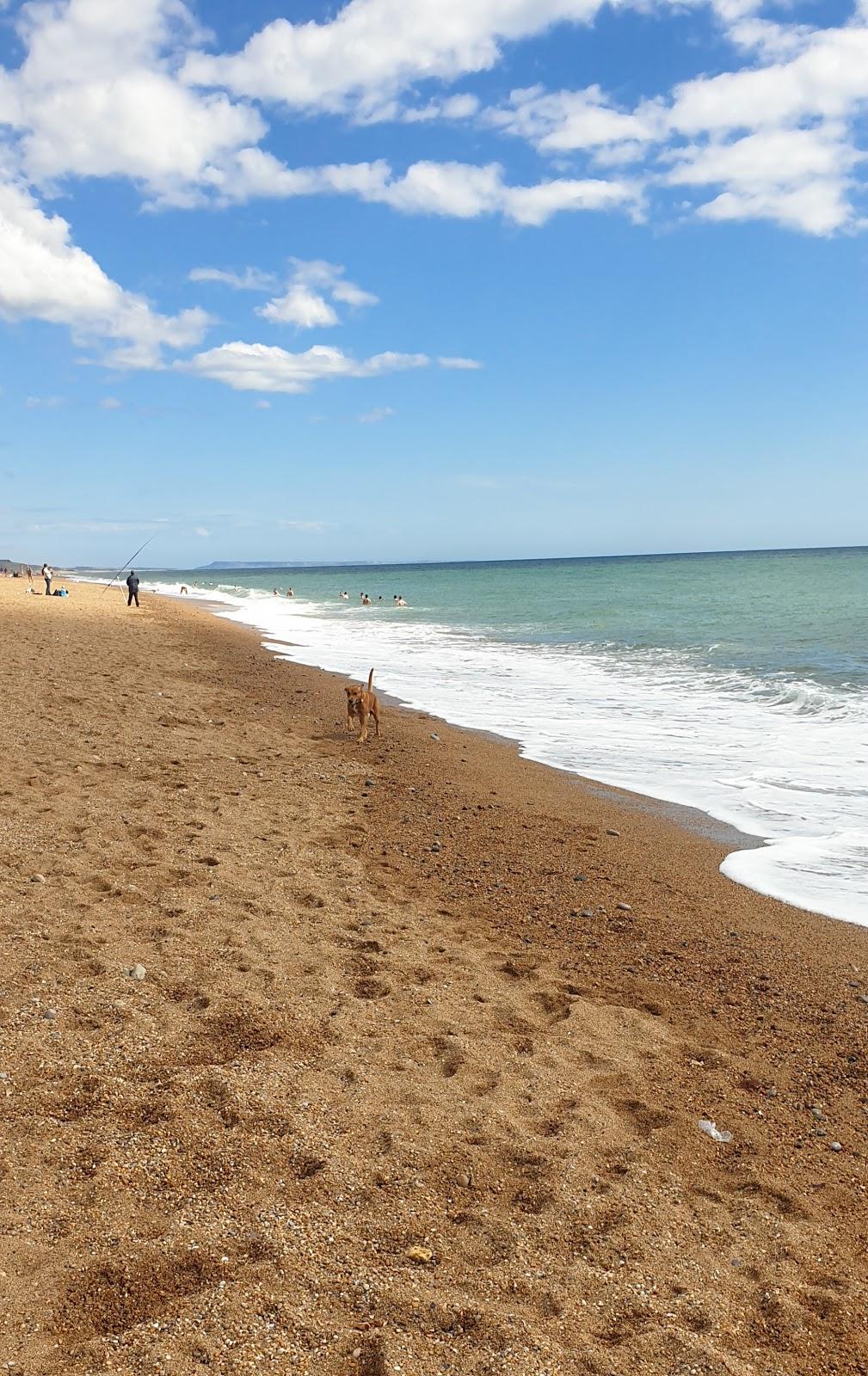 Sandee Hive Beach Photo