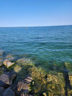 Sandee - Public Shoreline Beach Usfs West Wilsey Bay