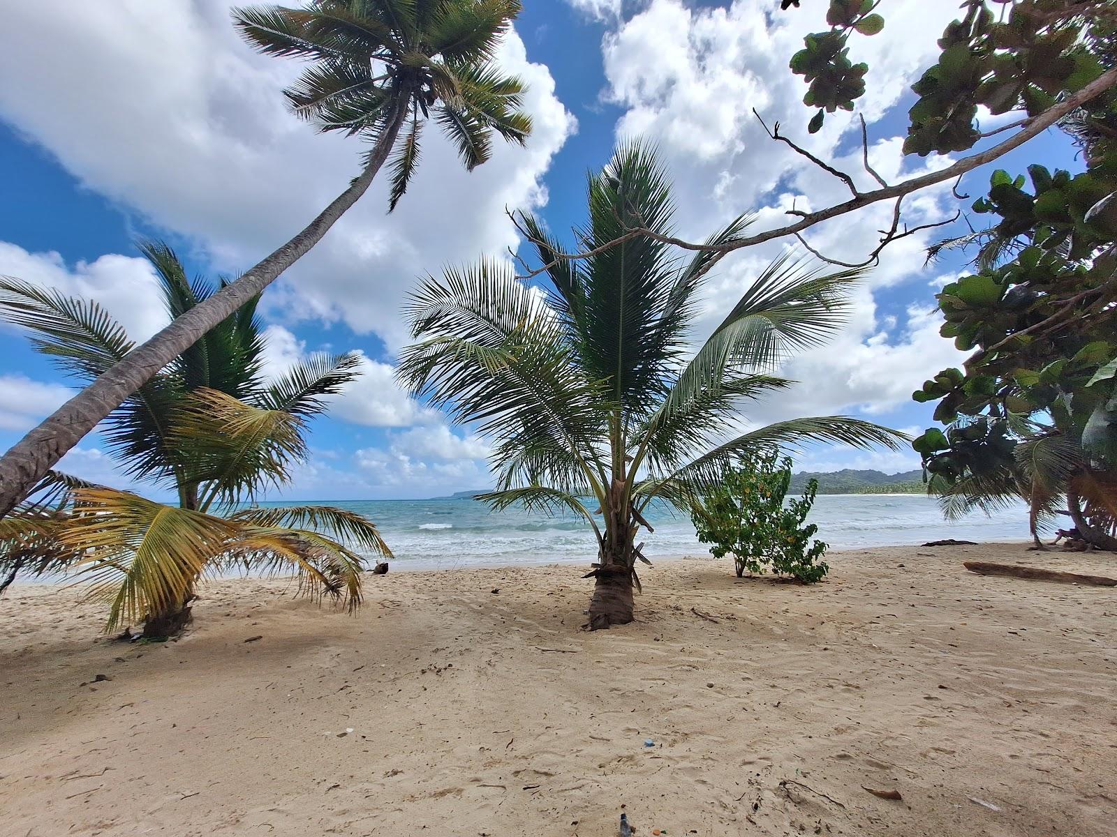 Sandee - Playa El Rincon