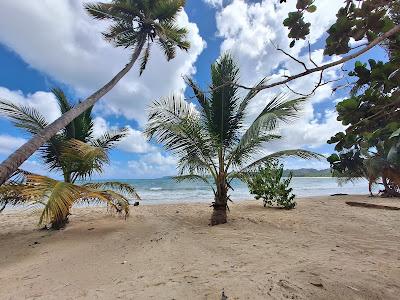 Sandee - Playa El Rincon