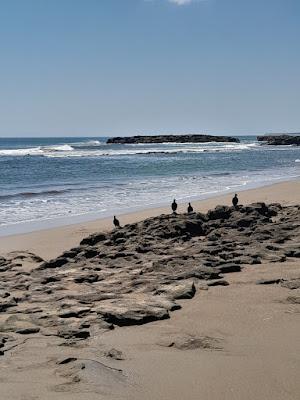 Sandee - Playa Acosaco