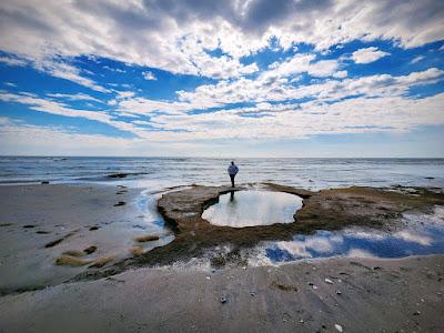 Sandee - North Brigantine State Natural Area