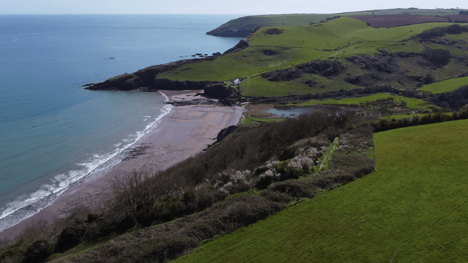 Sandee Scabbacombe Sands Photo