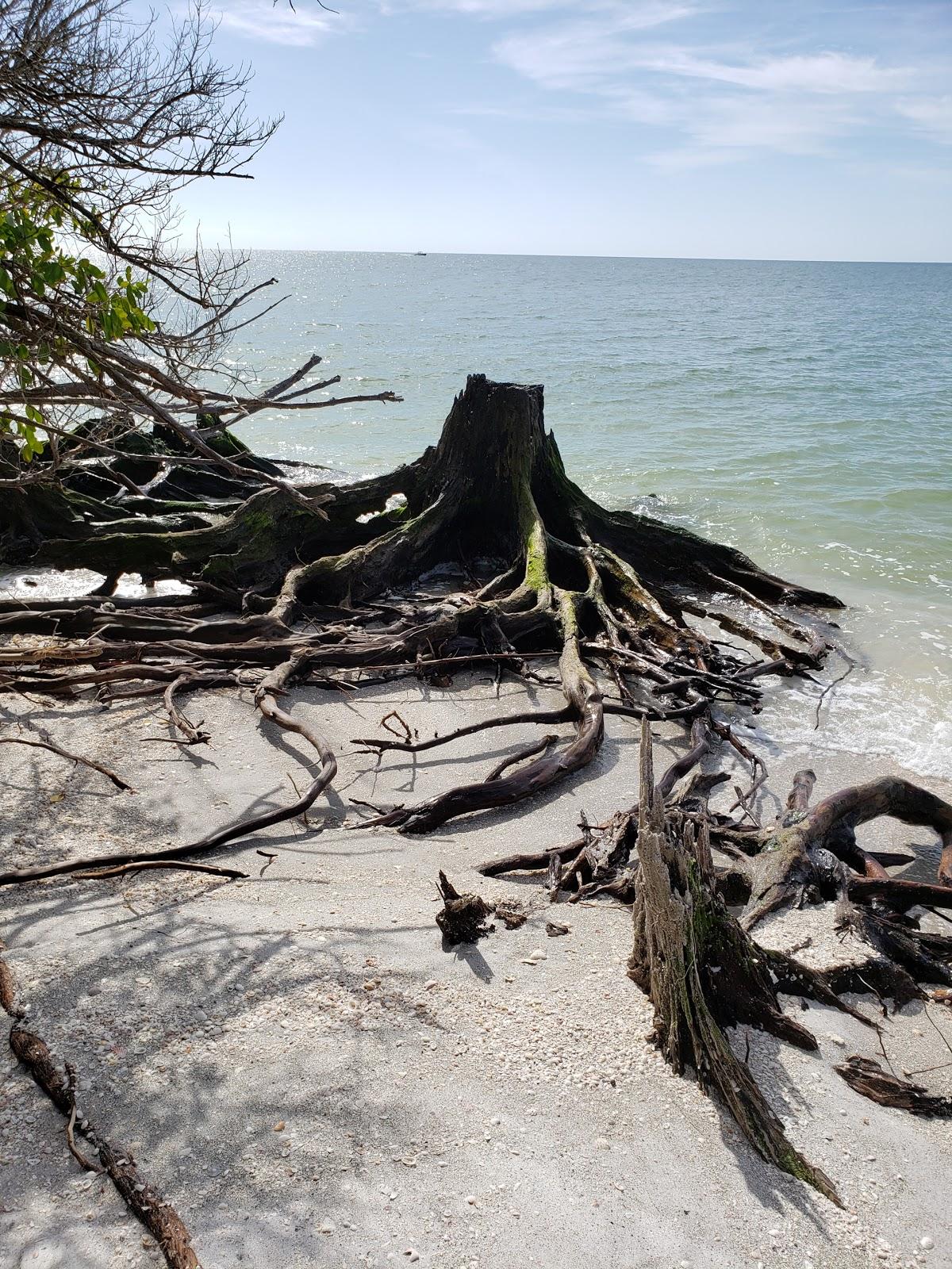 Sandee - Silver Key Beach