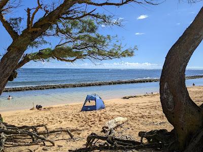 Sandee - Fuji Beach