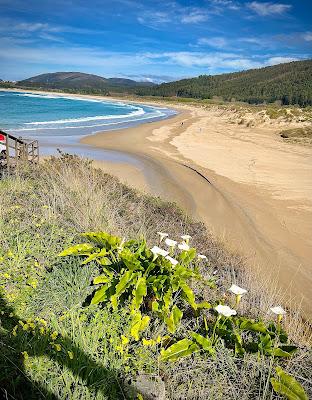 Sandee - Praia De San Xurxo