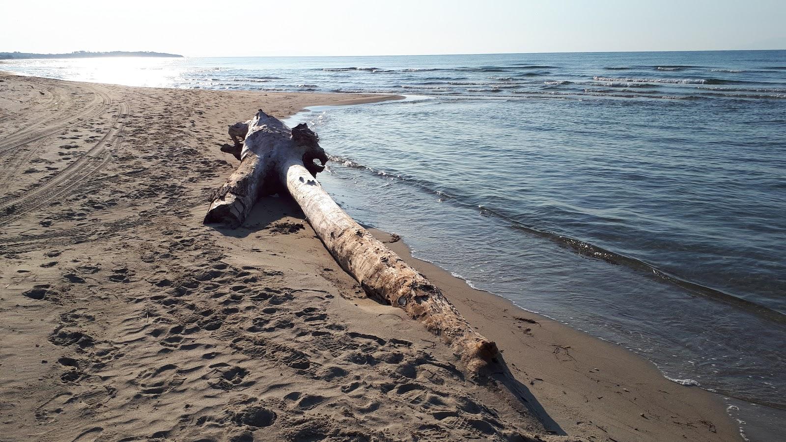 Sandee - Skala Avdiron Beach