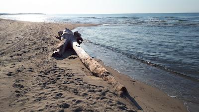 Sandee - Skala Avdiron Beach