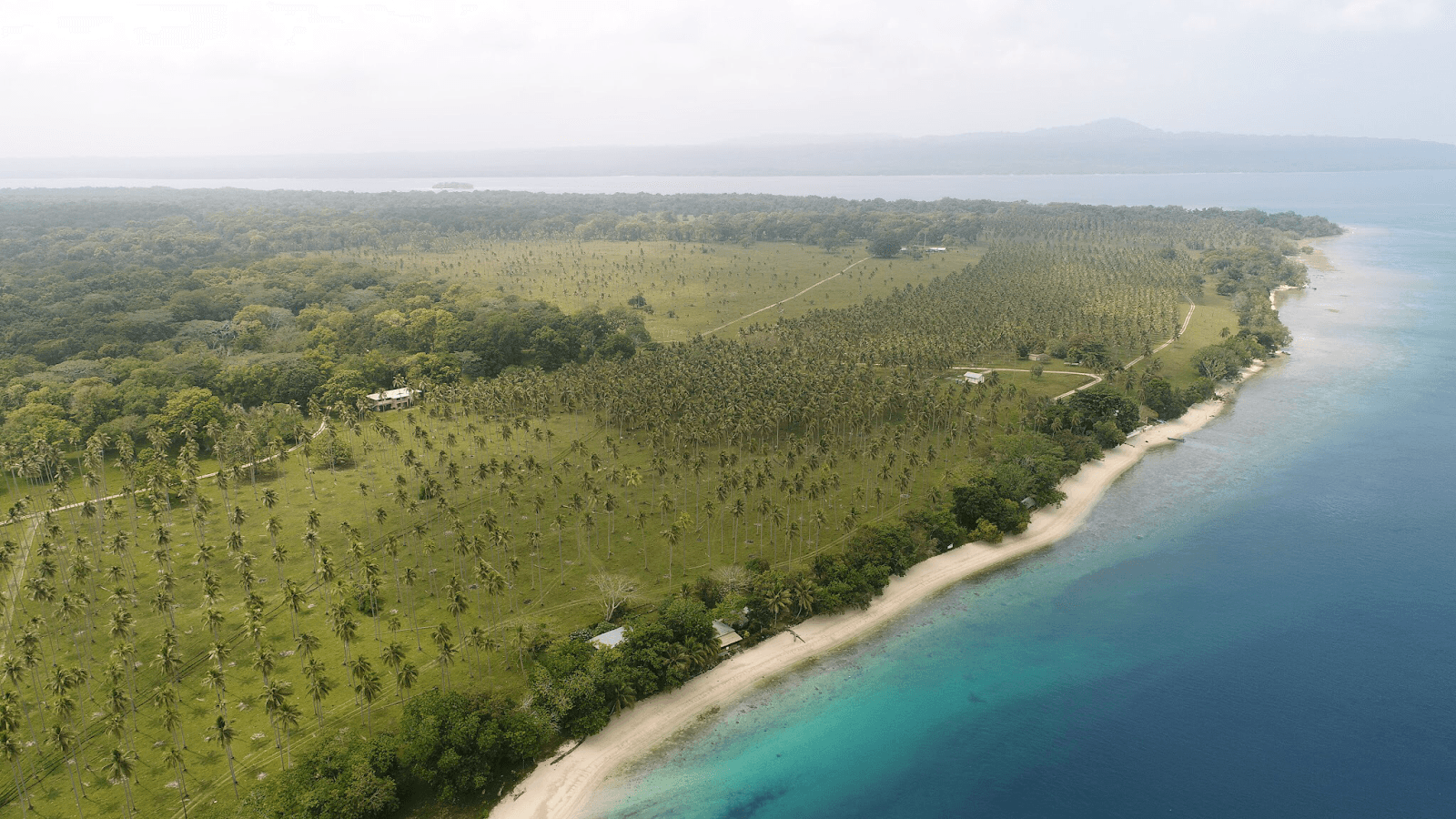 Sandee Lapita Beach Aore Island Vanuatu Photo