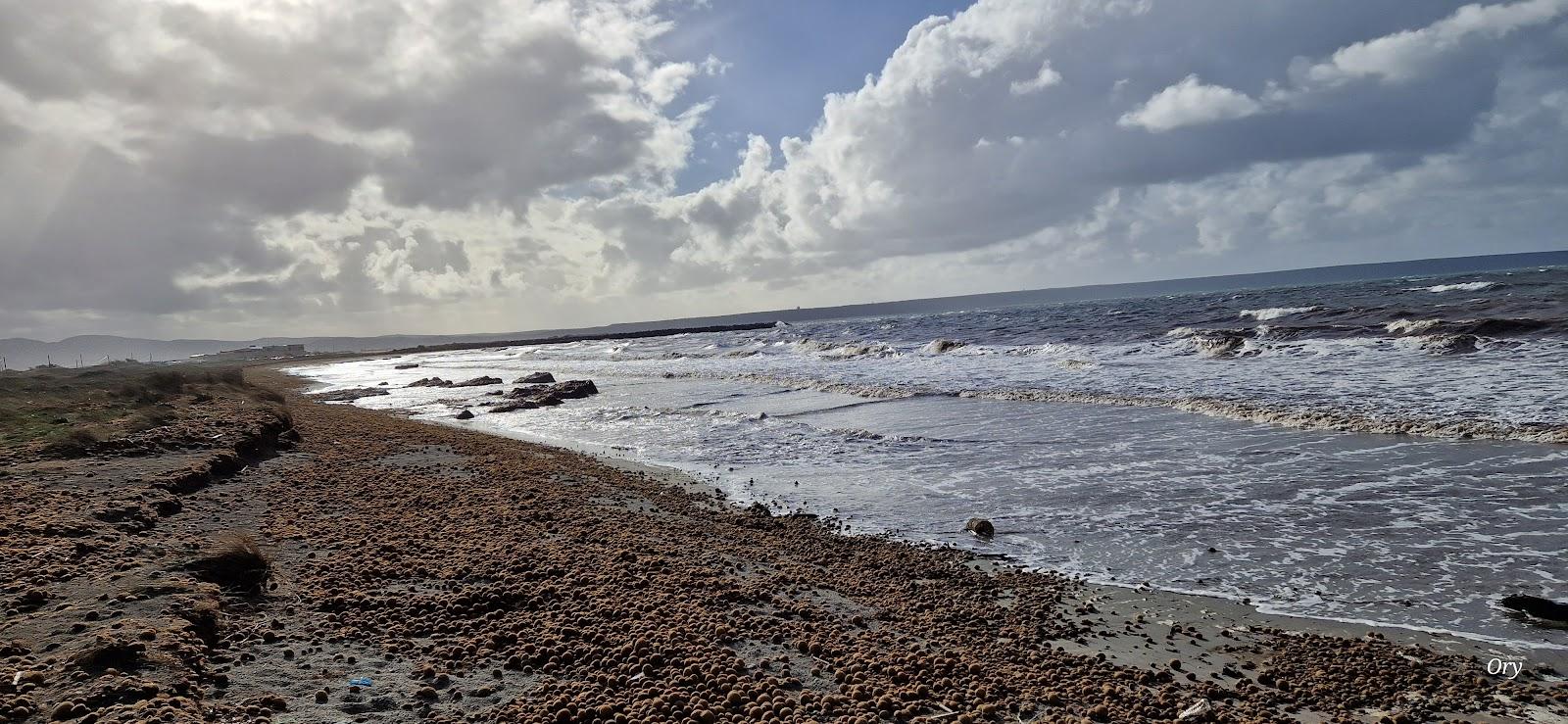 Sandee Spiaggia Di Arborea - Zona 23^ Photo