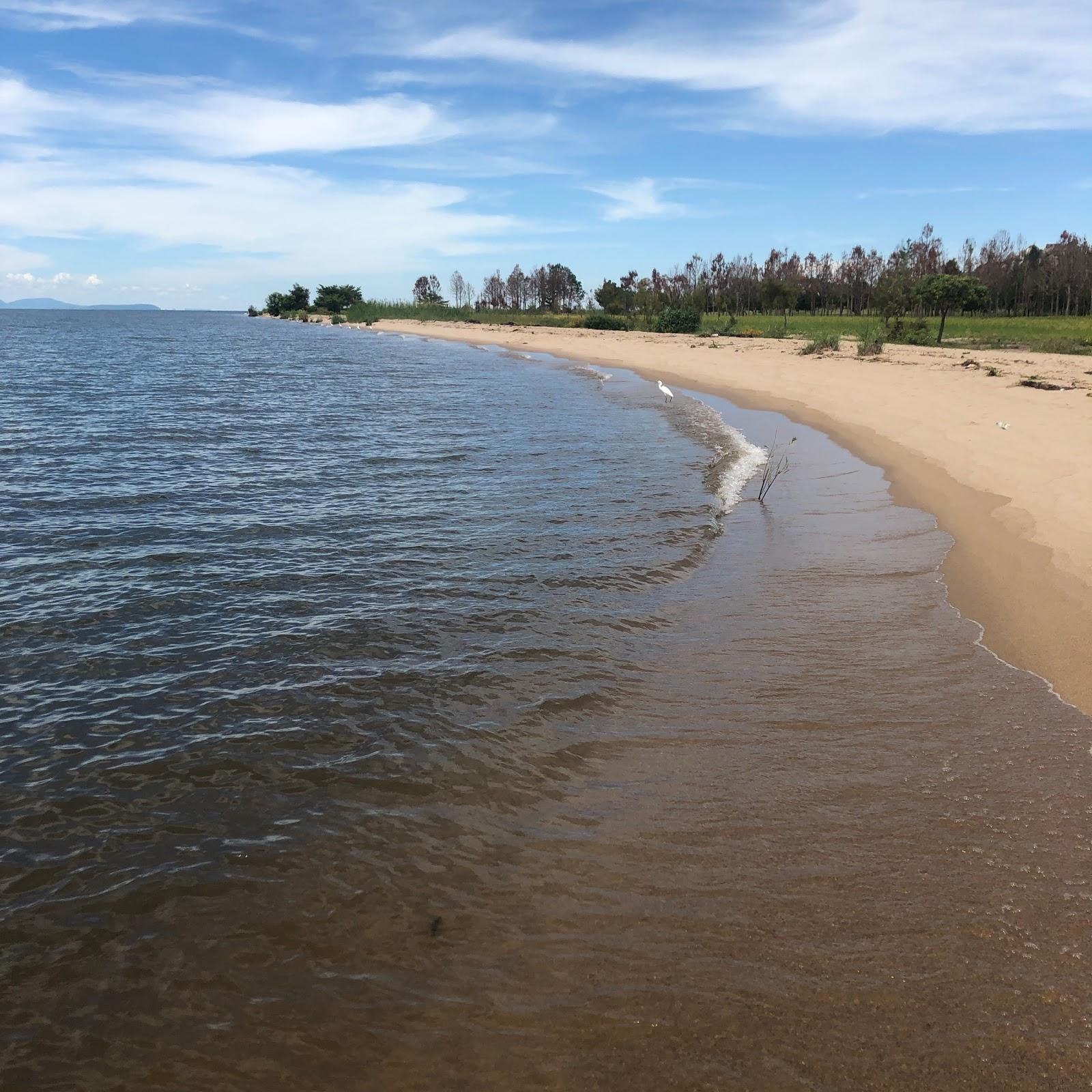 Sandee Macintosh Beach