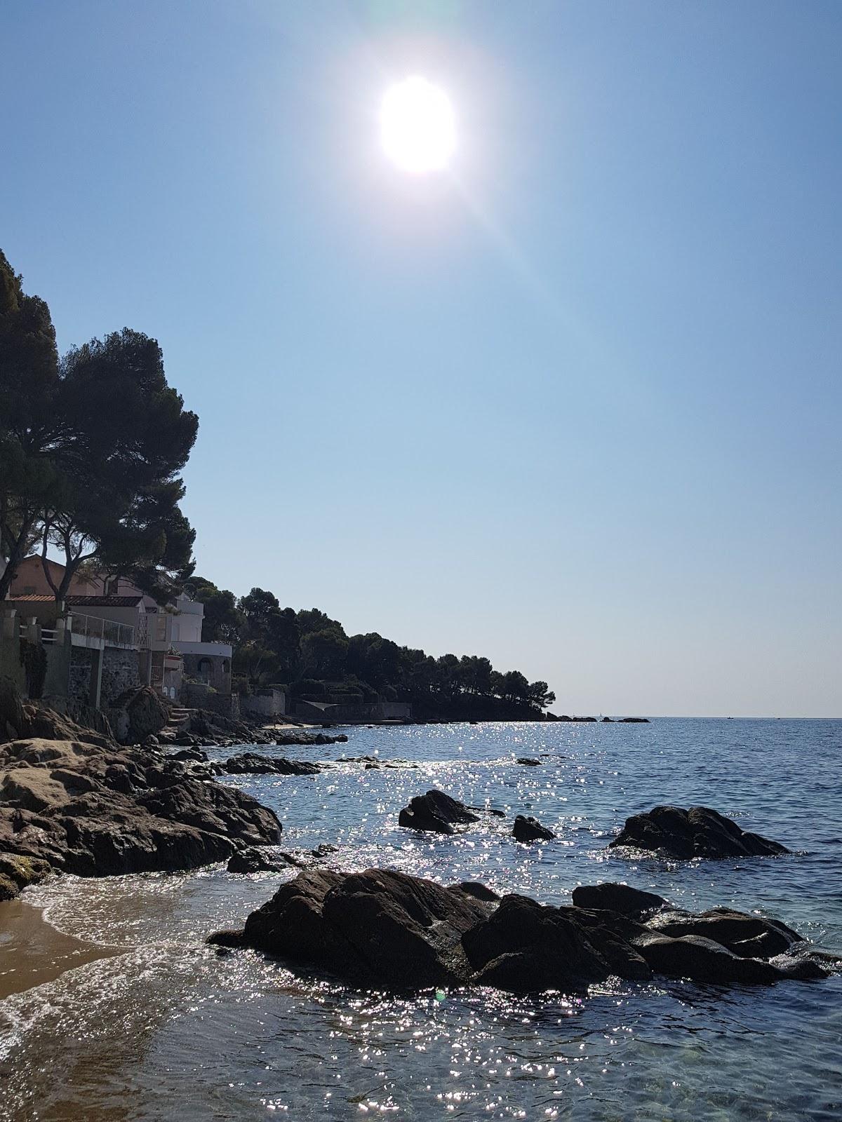 Sandee Plage D'Aiguebelle Photo