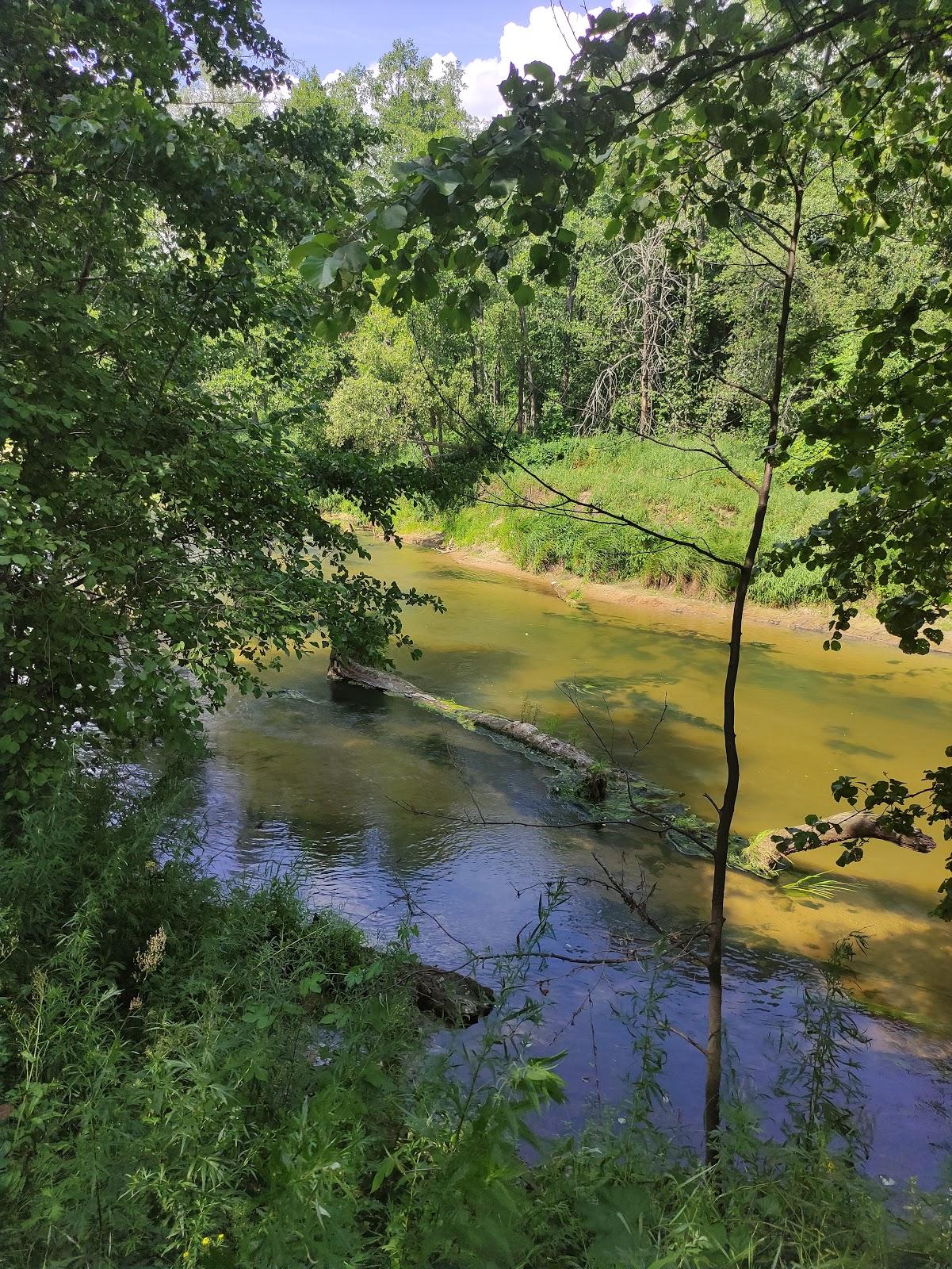 Sandee Yushut River Beach Right Bank