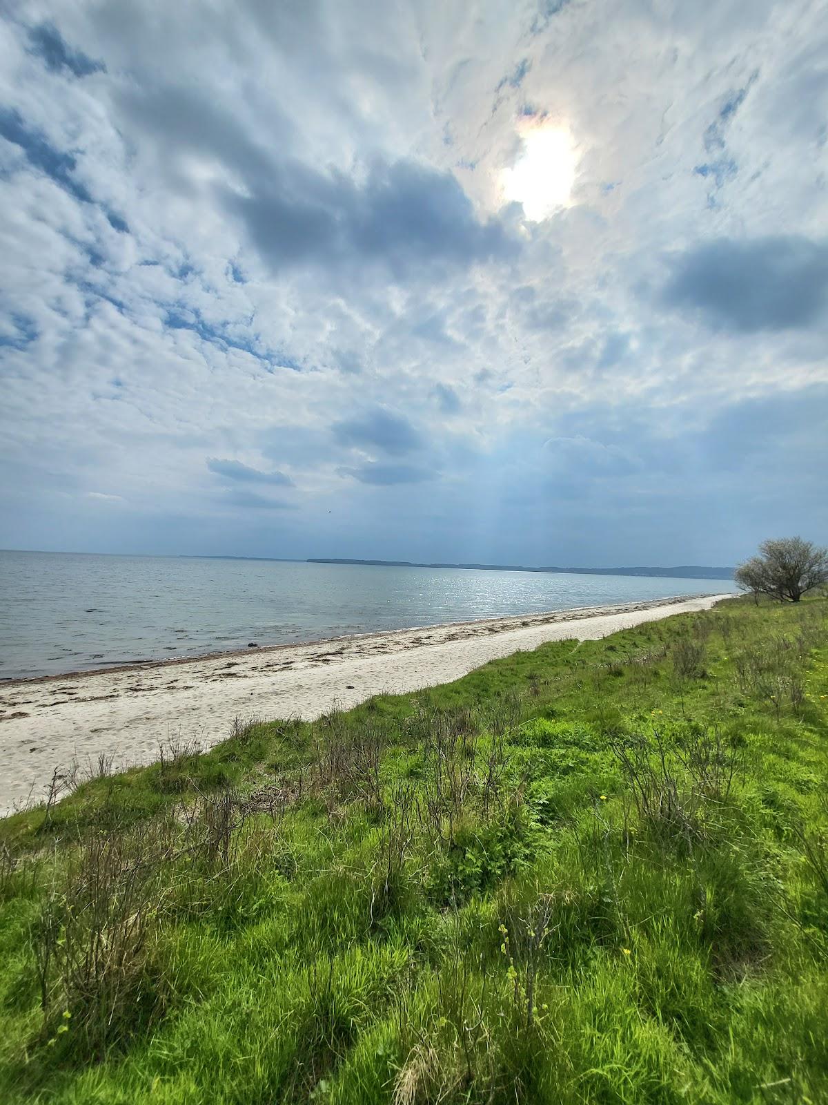 Sandee Skibelund Strand
