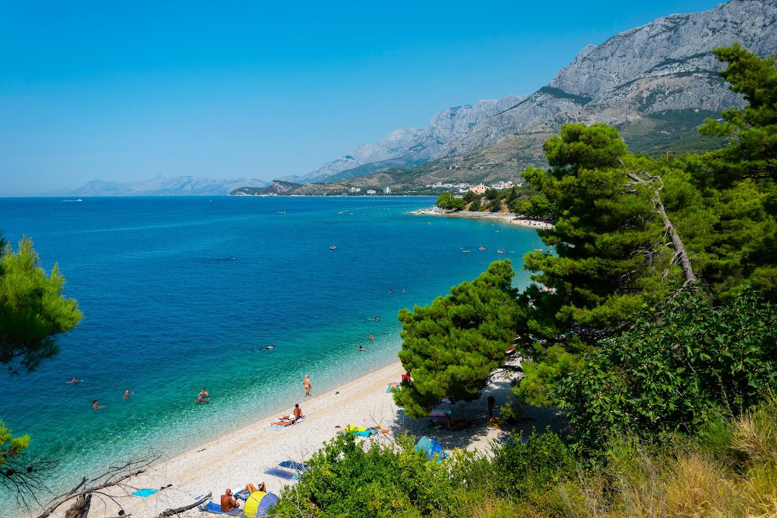 Sandee Dracevac Beach